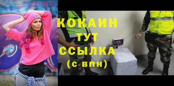 spice Алексин