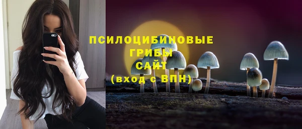 ГАЛЛЮЦИНОГЕННЫЕ ГРИБЫ Пролетарск