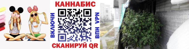 Марихуана VHQ Козьмодемьянск